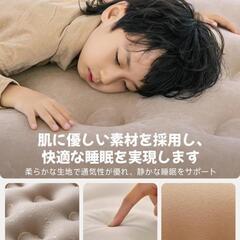 【新品未使用】BQB   エアーベッド　電動ポンプ内蔵の画像
