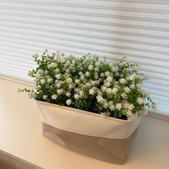フェイクグリーンかすみ草の画像