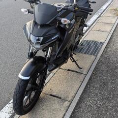 SUZUKI GSX-S125の画像