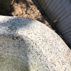 プラ池　ひょうたん池の画像