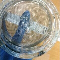 0803-248 iwaki 耐熱ガラス 茶こし付き麗茶急須の画像