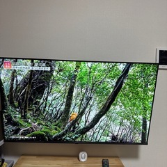 明日5日まで2024年製ハイセンス　50型