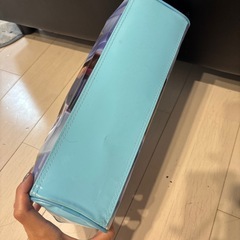 アナ雪プールバックの画像