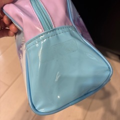 アナ雪プールバックの画像