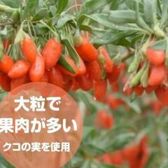 【新品未開封】もりひさ屋 有機クコの実 500g オーガニック 有機JAS認証 無農薬 添加物不使用 化学農薬不使用 ゴジベリー の画像