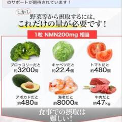 【新品未開封】NMN サプリメント 18000㎎ （1粒に200㎎）日本製 酵母発酵 高純度99%以上 クロレラ ユーグレナ ローヤルゼリー 90カプセル 二酸化チタン不使用 国内GMP認定工場 ビクトリーロードの画像