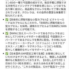 【新品未開封】NMN サプリメント 18000㎎ （1粒に200㎎）日本製 酵母発酵 高純度99%以上 クロレラ ユーグレナ ローヤルゼリー 90カプセル 二酸化チタン不使用 国内GMP認定工場 ビクトリーロードの画像