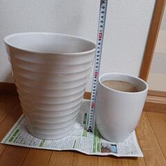 陶器鉢　植木鉢【IS-235】 の画像