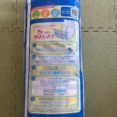 マナーウェア　Sサイズ　男の子　Sサイズの画像