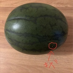 ※決まりました。スイカ（訳あり ）の画像