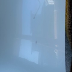 レクサスhsトランク白の画像