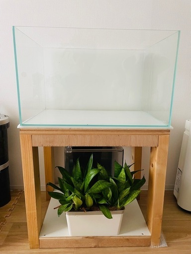 ADAの60センチ水槽 (吉田) 小牧口のその他の中古あげます・譲り