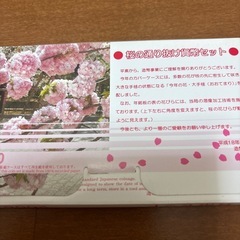 桜の通り抜け貨幣の画像