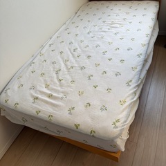 ベットとマットの画像