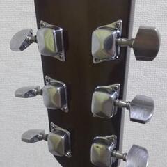 新品弦!!入門用アコースティックギター♪の画像