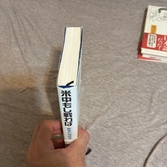 米中もし戦わばの画像