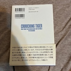 米中もし戦わばの画像