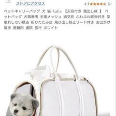 ほぼ新品 ペットキャリーバッグ 犬 猫 天窓付き バック 袋 ペットスリング ショルダー 犬猫兼用 メッシュ 底板付き 飛び出し防止リード付き お出かけ 散歩 ホワイト
の画像