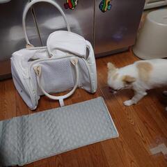 ほぼ新品 ペットキャリーバッグ 犬 猫 天窓付き バック 袋 ペットスリング ショルダー 犬猫兼用 メッシュ 底板付き 飛び出し防止リード付き お出かけ 散歩 ホワイト
の画像