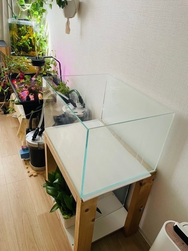 ADAの60センチ水槽 (吉田) 小牧口のその他の中古あげます・譲り