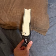 反転 闇社会の守護神と呼ばれての画像