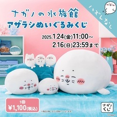ナガノの水族館　アザラシぬいぐるみくじ　D賞ねこのアザラシマスコットの画像