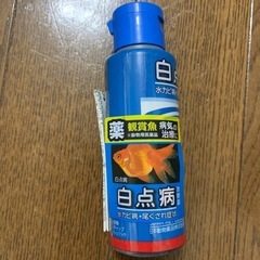 金魚用品の画像