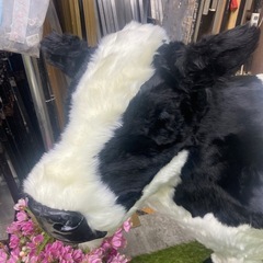 牛の模型　展示品の画像