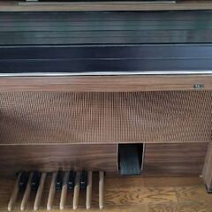 Morris/モーリス F-02SBU 青 6弦 アコースティックギター Morris アコースティックギター F-02SBU 青 6弦 弦楽器 アコギ