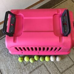 ペットキャリーケースお譲りしますの画像