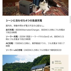【新品未開封】 最新版DELTA 2 Max S 電源 2400W 25400円の画像