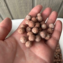 サブストラットプロ6リットル　熱帯魚　アクアリウムの画像