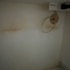 食器棚譲りますの画像