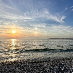📷カメラ仲間募集