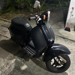8/9まだ有ります❗️2ストHONDA・ジョルノの画像