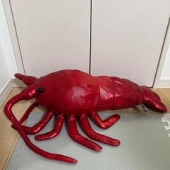 くったり伊勢エビ🦐の画像