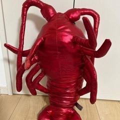 くったり伊勢エビ🦐の画像