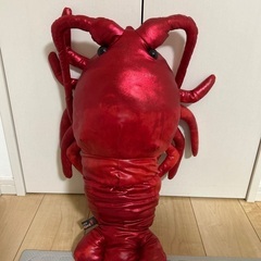 くったり伊勢エビ🦐の画像