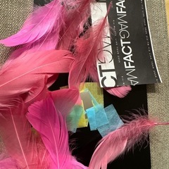 Kis-My-Ft2 落下物の画像