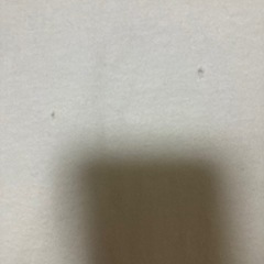 ポロクラブTシャツ3点セットの画像