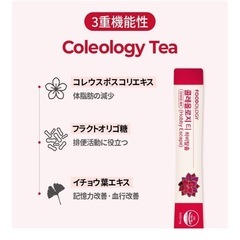 フードロージー　ティーの画像