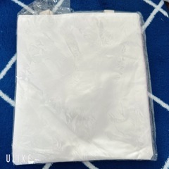 【新品未使用】LABUBU トートバッグの画像