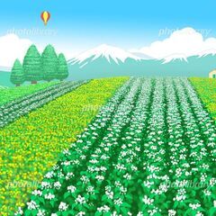 畑を探しています！「出来ましたら無償でお貸しください」