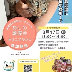 保護猫譲渡会＆猫グッズ物販　各務原市