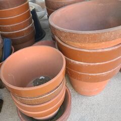 植木鉢差し上げます