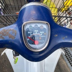 ホンダ　カブ　プレスカブ　50 好調　低走行　札幌　北海道の画像