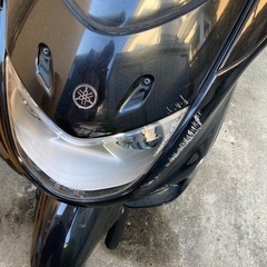マジェスティ250の画像
