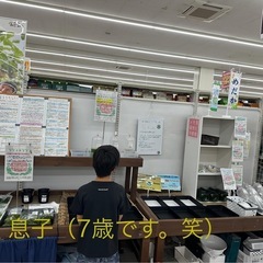 ⭐️メダカ販売⭐️上三川インターパーク店の画像