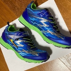 子供靴／SUPERSTAR キッズスポーツシューズ 青緑　24.5cmの画像