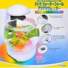 水槽　テトラ　アクアリウム　LEDライト　ウォーターフォール　熱帯魚　金魚の画像
